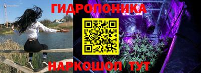 эйфоретик Заводоуковск