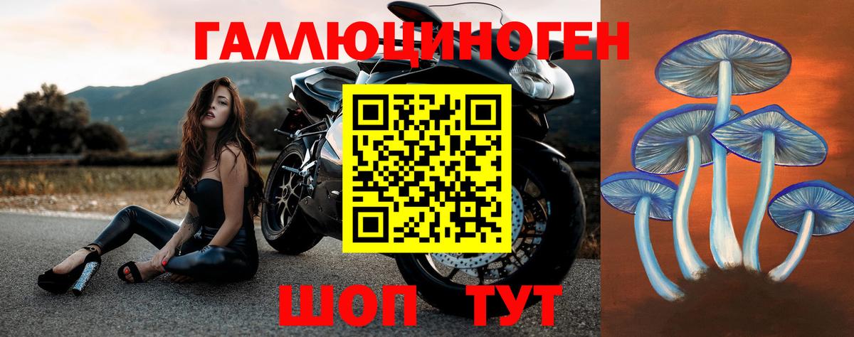 Краснознаменск  Псилоцибиновые грибы Cubensis  Вход с VPN 